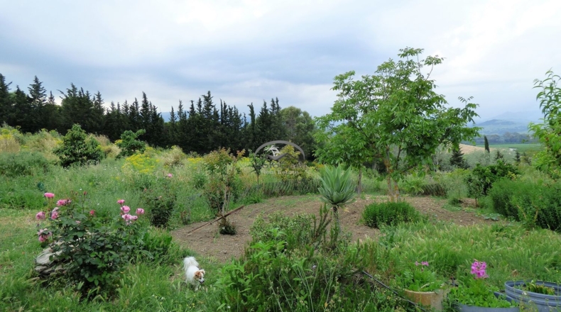Cádiz - Jimena de la Frontera - 60000m2