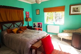Foto 20