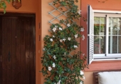 Chalet independiente con terreno en venta en San Roque ref: TR189734 foto