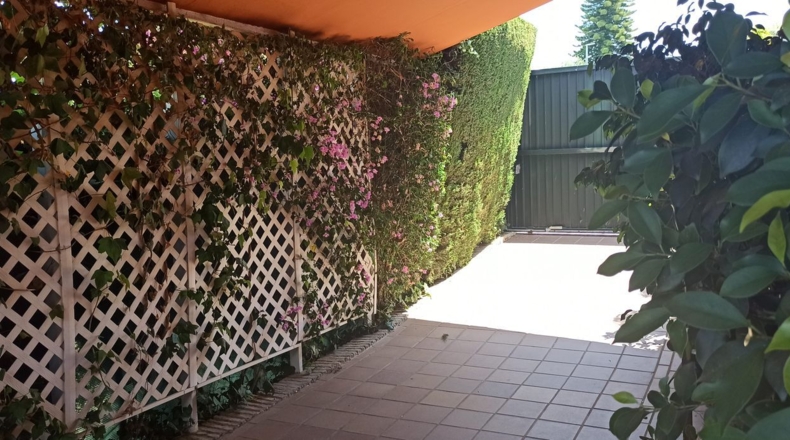 Sevilla - Urbanización "Alquería de Almanzor" - 560m2