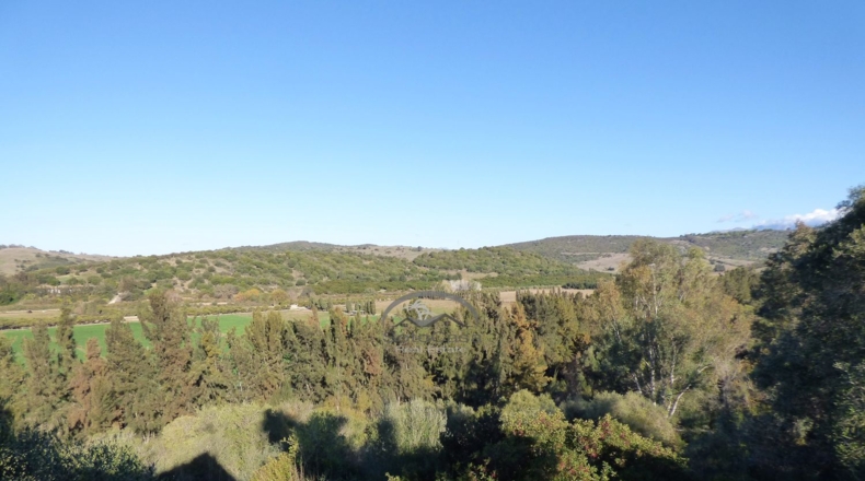 Cádiz - San Roque - 1200m2