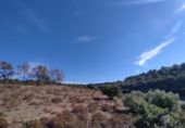 Rural estate for rent in San Roque ref: TR284216 photo