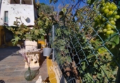 Rural estate for rent in San Roque ref: TR284216 photo