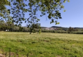 Xalet independent amb terreny en venda a San Roque ref.: TR189025 foto