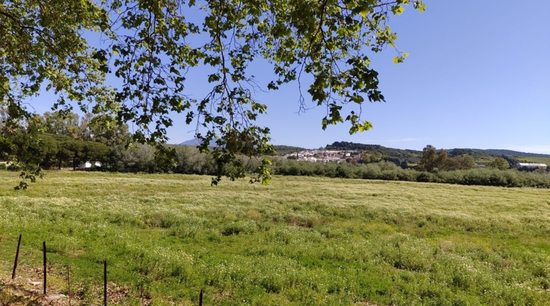 Cadiz - San Roque - 300m2