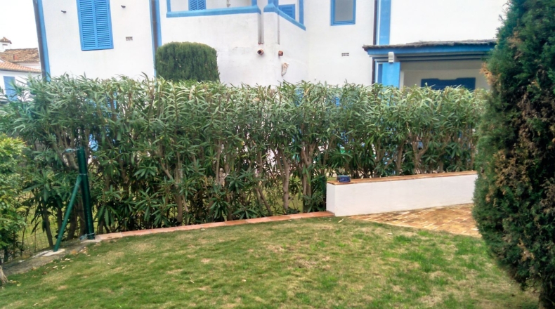 Cádiz - Puerto Real - 190m2