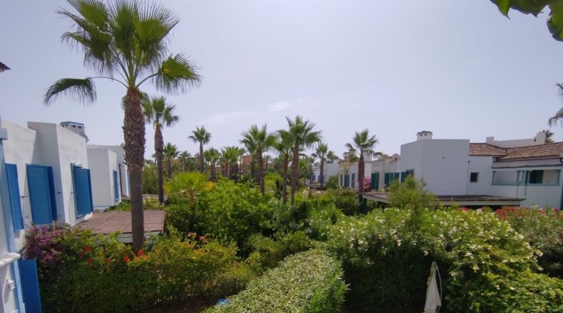 Cádiz - Puerto Real - 190m2