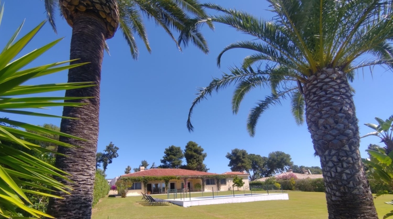 Cádiz - San Roque - 2500m2