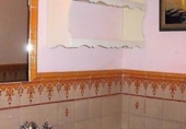 Rural estate for sale in Jimena de la Frontera ref: TR276693 photo