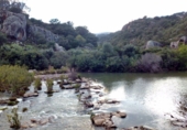 Rural estate for sale in Jimena de la Frontera ref: TR276693 photo