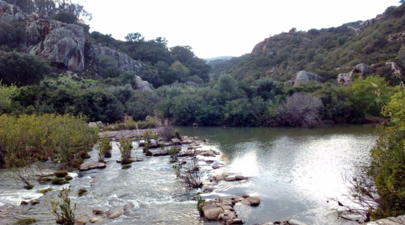 Cádiz - Jimena de la Frontera - 200m2
