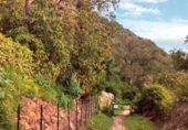 Rural estate for sale in Jimena de la Frontera ref: TR276693 photo