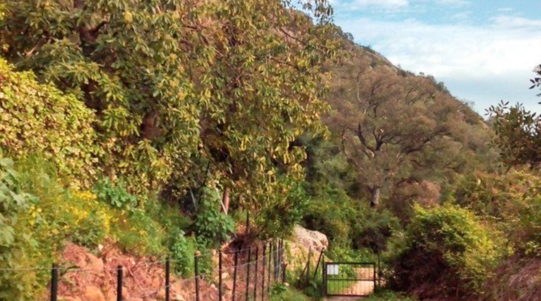 Cádiz - Jimena de la Frontera - 200m2