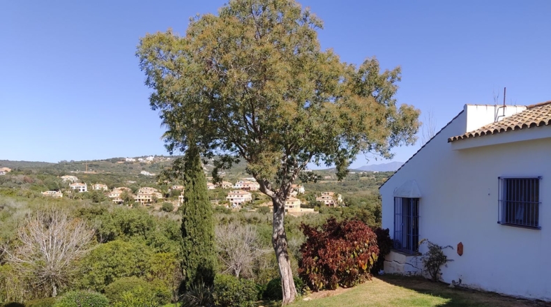 Cádiz - San Roque - 1385m2