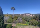 Xalet independent amb terreny en venda a San Roque ref.: TR189728 foto
