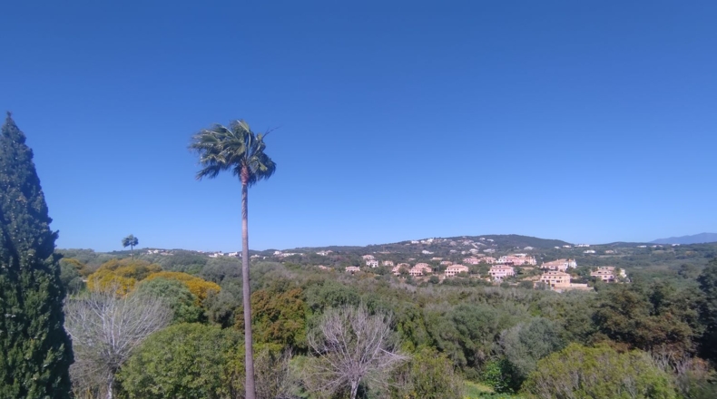 Cádiz - San Roque - 1385m2