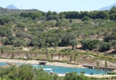 Xalet independent amb terreny en venda a San Roque ref.: TR185498 foto