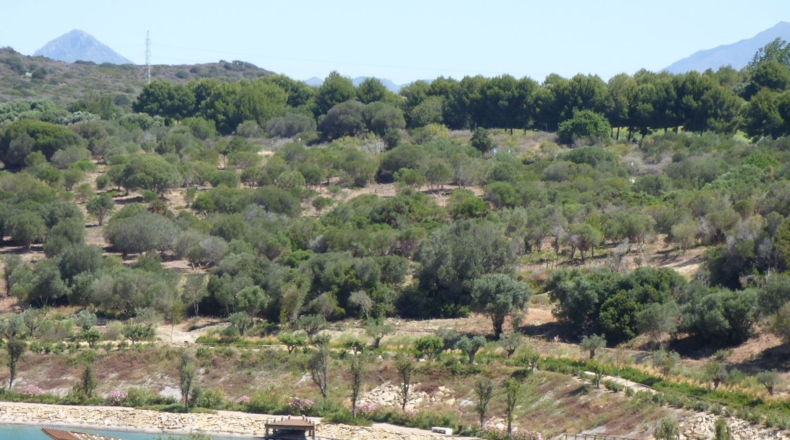 Cádiz - San Roque - 240m2