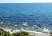 Xalet independent amb terreny en venda a Marbella ref.: TR253763 foto