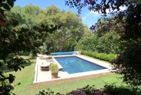 Foto 16