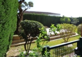 Chalet independiente con terreno en venta en Isla Mayor ref: TR186245 foto