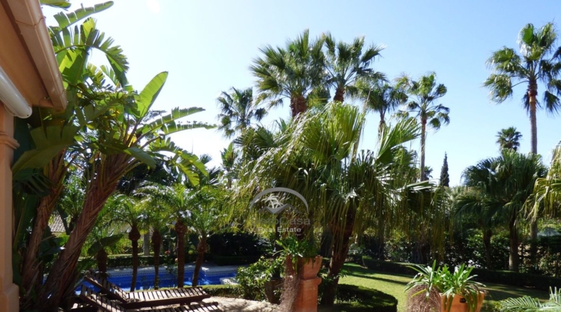 Cádiz - San Roque - 1550m2