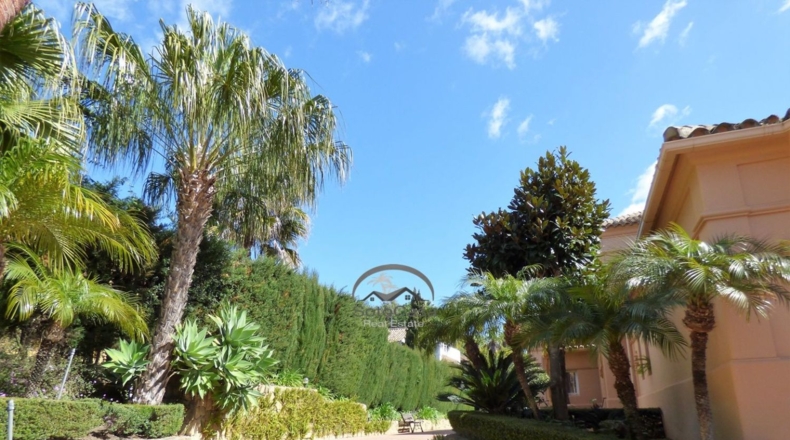 Cádiz - San Roque - 1550m2