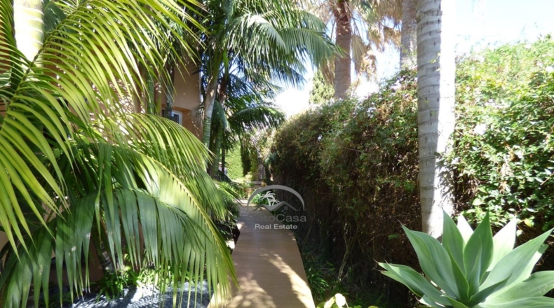 Cádiz - San Roque - 1550m2