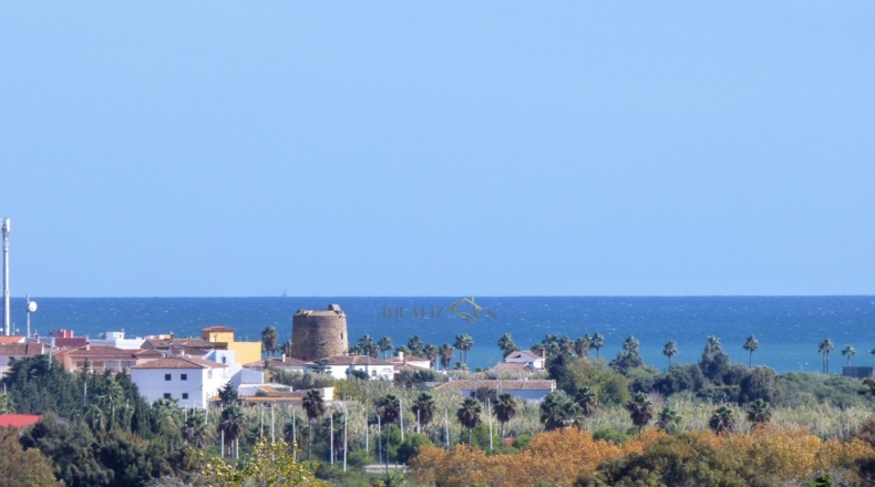 Cádiz - San Roque - 1000m2