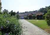 Chalet independiente con terreno en venta en San Roque ref: TR186240 foto