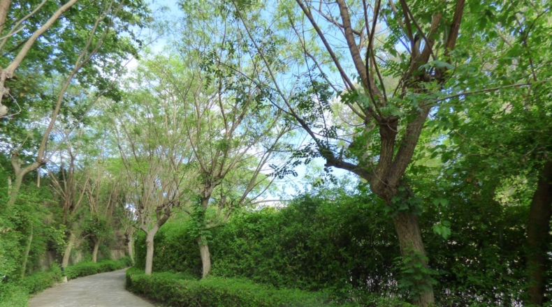 Cádiz - San Roque - 2500m2