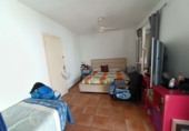 Chalet independiente con terreno en venta en San Roque ref: TR189723 foto