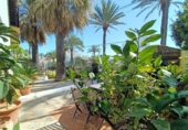 Chalet independiente con terreno en venta en San Roque ref: TR189723 foto