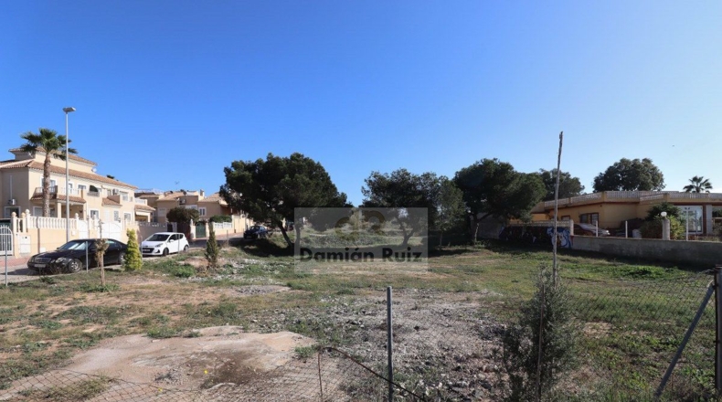 Alicante - Guardamar del Segura - 1653m2