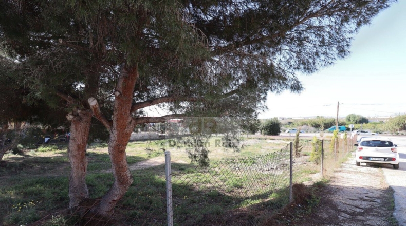 Alicante - Guardamar del Segura - 1653m2