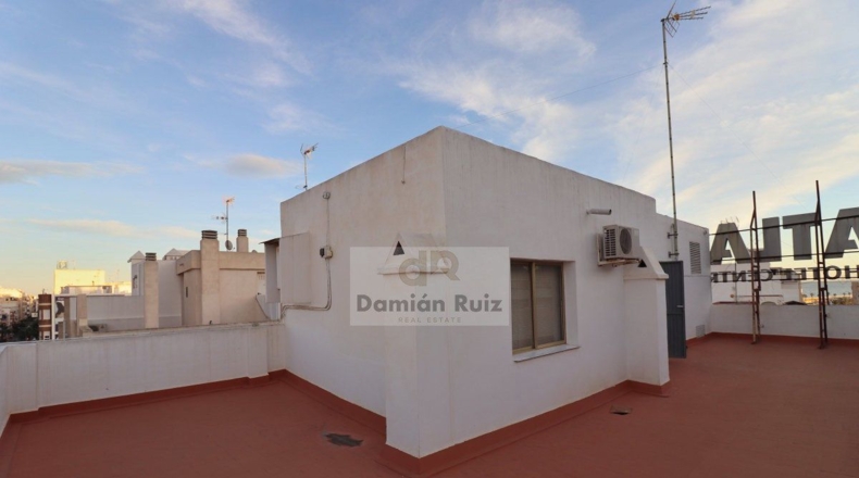 Alicante - Torrevieja - 838m2