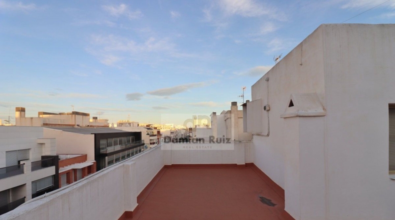 Alicante - Torrevieja - 838m2