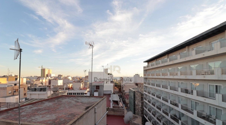 Alicante - Torrevieja - 838m2