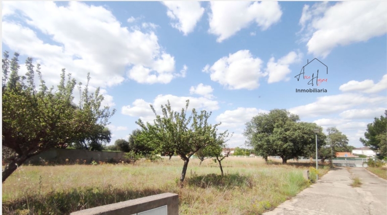 Salamanca - Urbanización la Florida - 1000m2