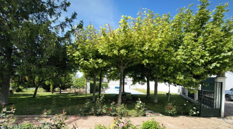 Salamanca - Villares de la Reina - 11750m2