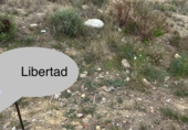Parcel·la urbanitzable en venda a Molina de Segura ref.: TR253773 foto