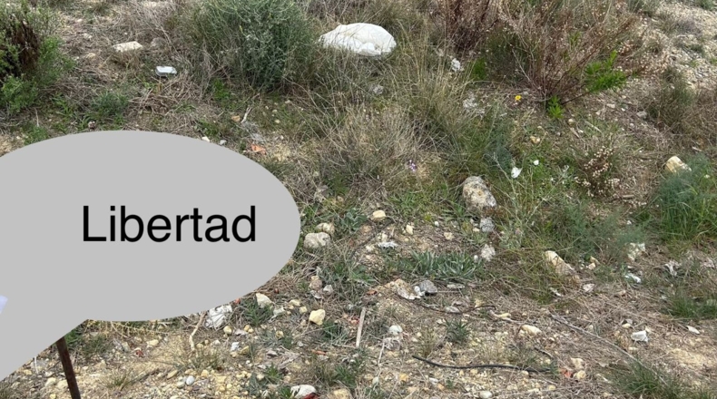 Murcia - Molina de Segura - 810m2