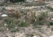 Parcel·la urbanitzable en venda a Molina de Segura ref.: TR253773 foto