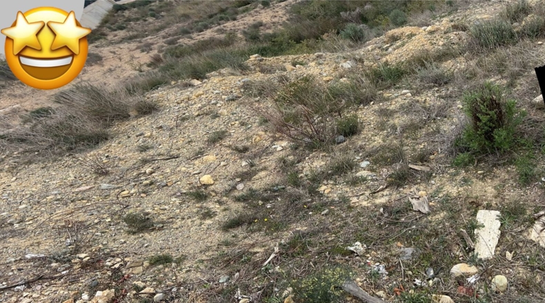 Murcia - Molina de Segura - 810m2