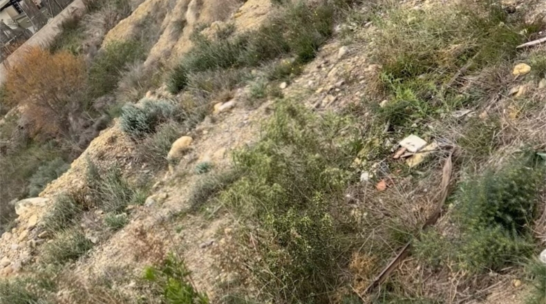 Murcia - Molina de Segura - 810m2