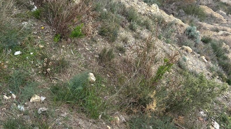 Murcia - Molina de Segura - 810m2