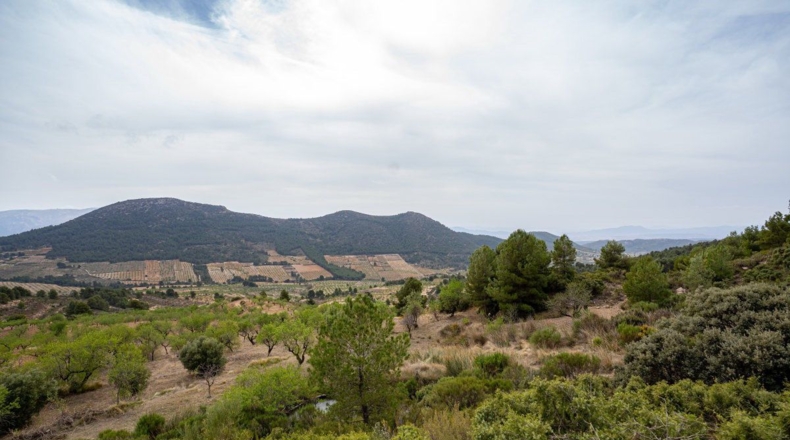 Murcia - Lorca - 16300m2