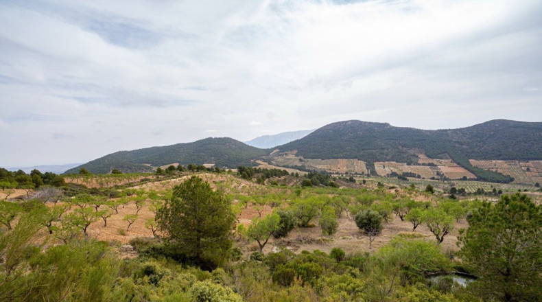 Murcia - Lorca - 16300m2