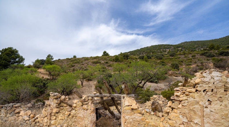 Murcia - Lorca - 16300m2