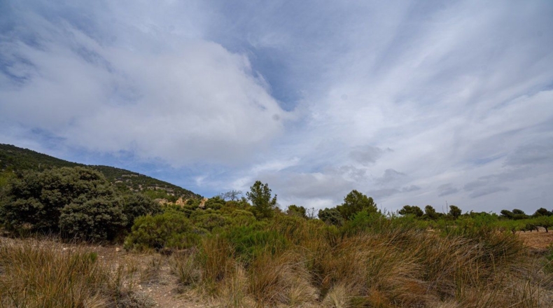 Murcia - Lorca - 16300m2